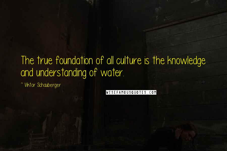 Viktor Schauberger quotes: The true foundation of all culture is the knowledge and understanding of water.