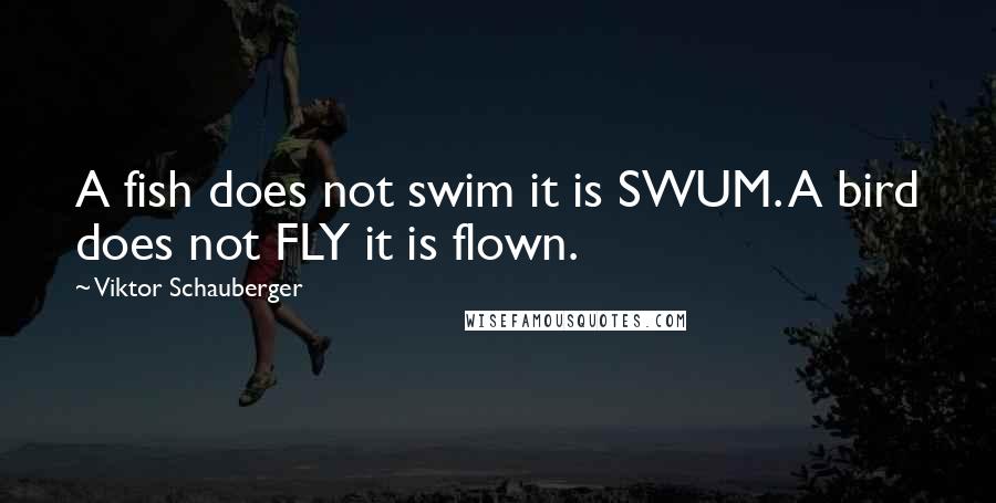 Viktor Schauberger quotes: A fish does not swim it is SWUM. A bird does not FLY it is flown.