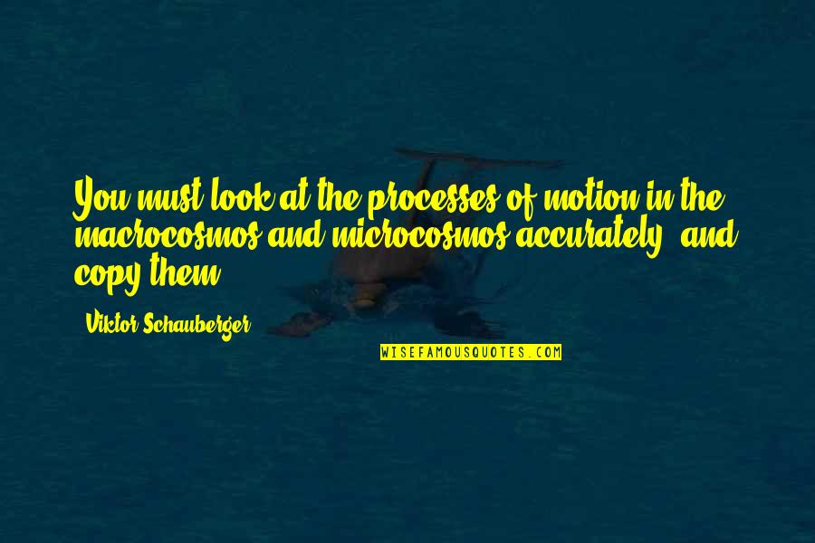 Viktor Schauberger Quotes By Viktor Schauberger: You must look at the processes of motion