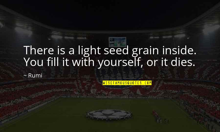 Viky Sianipar Quotes By Rumi: There is a light seed grain inside. You