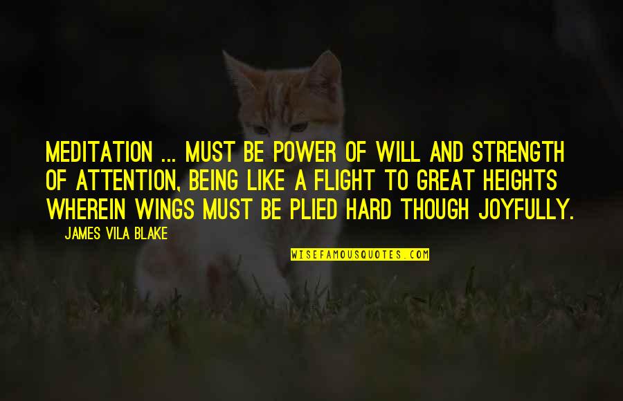 Vila Quotes By James Vila Blake: Meditation ... must be power of will and