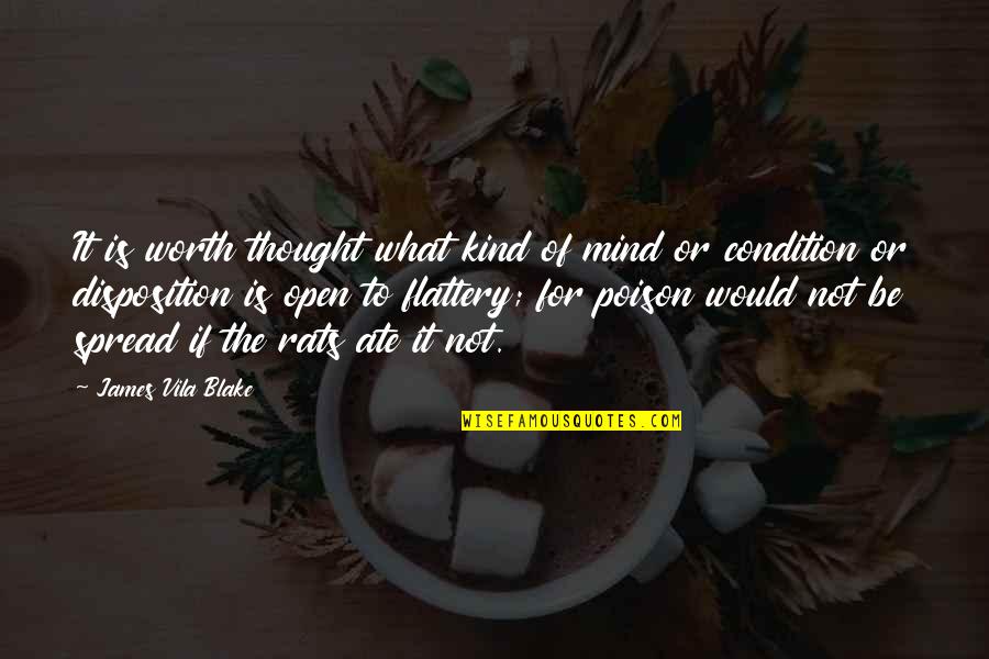 Vila Quotes By James Vila Blake: It is worth thought what kind of mind
