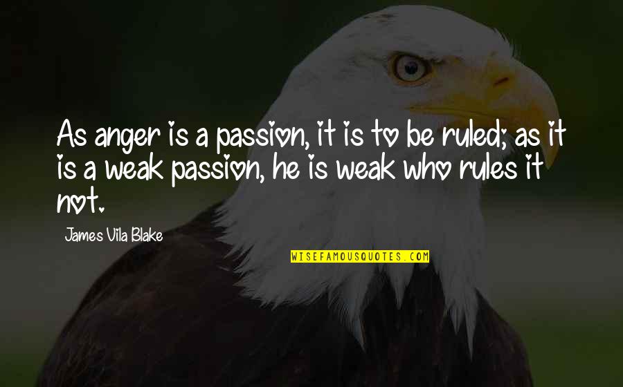 Vila Quotes By James Vila Blake: As anger is a passion, it is to
