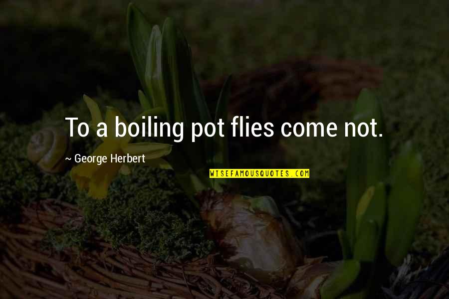 Vilafranca Tv Quotes By George Herbert: To a boiling pot flies come not.