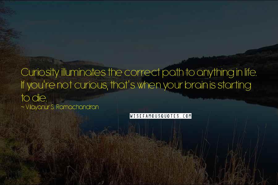 Vilayanur S. Ramachandran quotes: Curiosity illuminates the correct path to anything in life. If you're not curious, that's when your brain is starting to die.