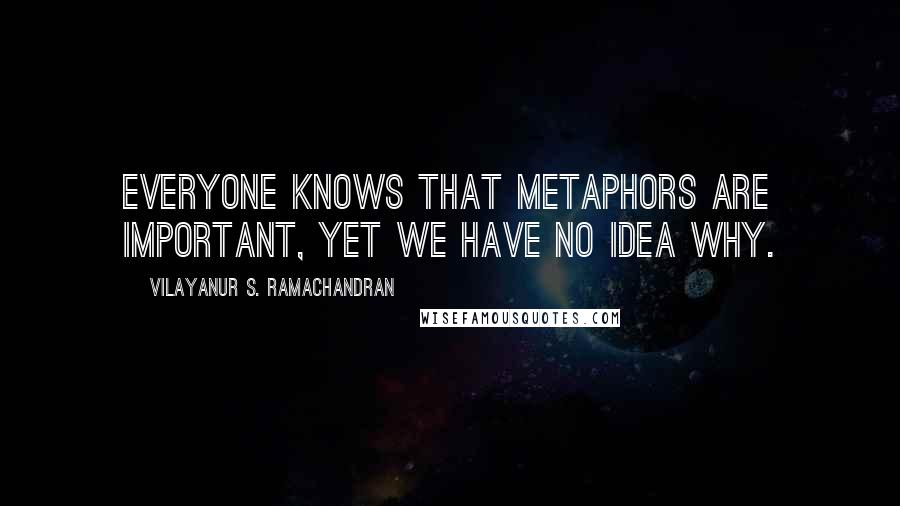 Vilayanur S. Ramachandran quotes: Everyone knows that metaphors are important, yet we have no idea why.