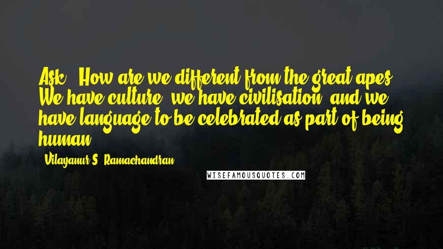 Vilayanur S. Ramachandran quotes: Ask, 'How are we different from the great apes?' We have culture, we have civilisation, and we have language to be celebrated as part of being human.