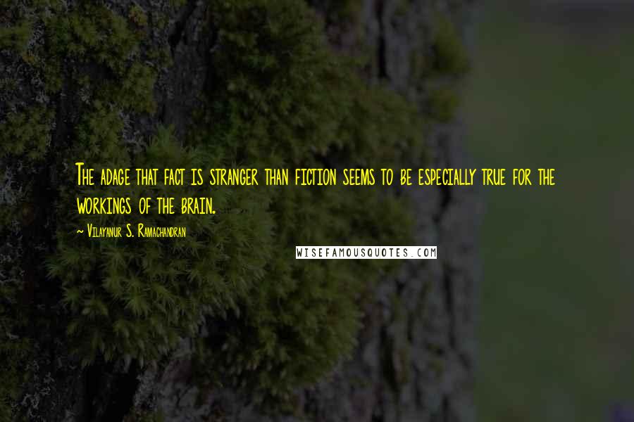Vilayanur S. Ramachandran quotes: The adage that fact is stranger than fiction seems to be especially true for the workings of the brain.