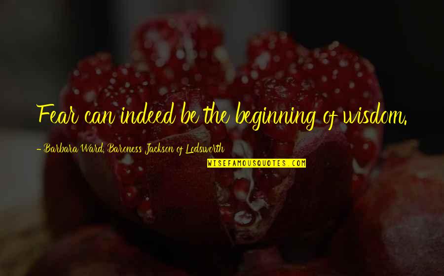 Vilella Ice Quotes By Barbara Ward, Baroness Jackson Of Lodsworth: Fear can indeed be the beginning of wisdom. Vilella Ice Quotes By Barbara Ward, Baroness Jackson Of Lodsworth: Fear can indeed be the beginning of wisdom.