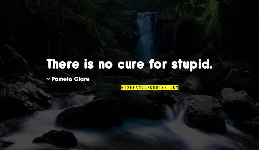 Vilely Boch Quotes By Pamela Clare: There is no cure for stupid. Vilely Boch Quotes By Pamela Clare: There is no cure for stupid.
