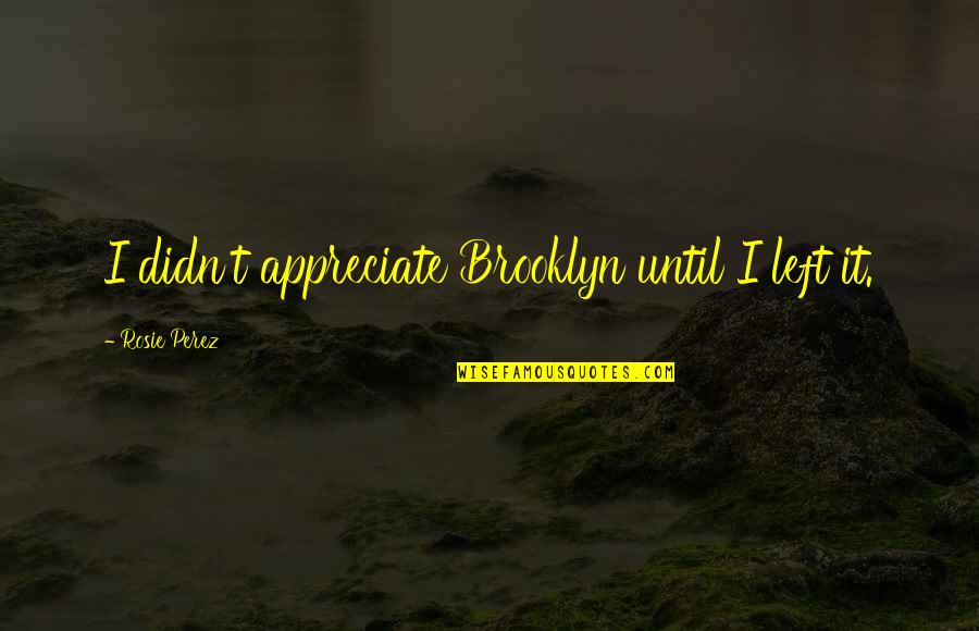 Vileza In English Quotes By Rosie Perez: I didn't appreciate Brooklyn until I left it. Vileza In English Quotes By Rosie Perez: I didn't appreciate Brooklyn until I left it.