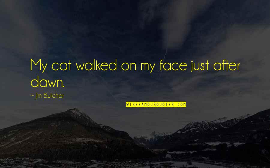 Villacana Auto Quotes By Jim Butcher: My cat walked on my face just after