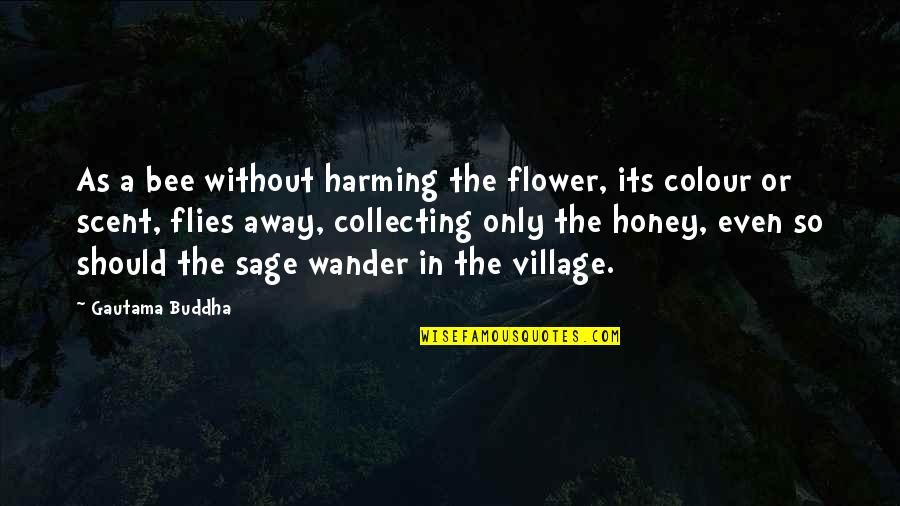 Village Quotes By Gautama Buddha: As a bee without harming the flower, its