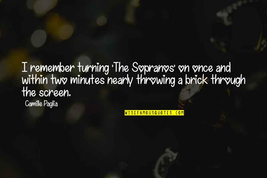 Village That Looks Quotes By Camille Paglia: I remember turning 'The Sopranos' on once and