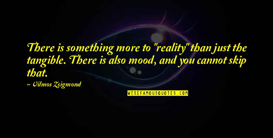 Vilmos Zsigmond Quotes By Vilmos Zsigmond: There is something more to "reality" than just