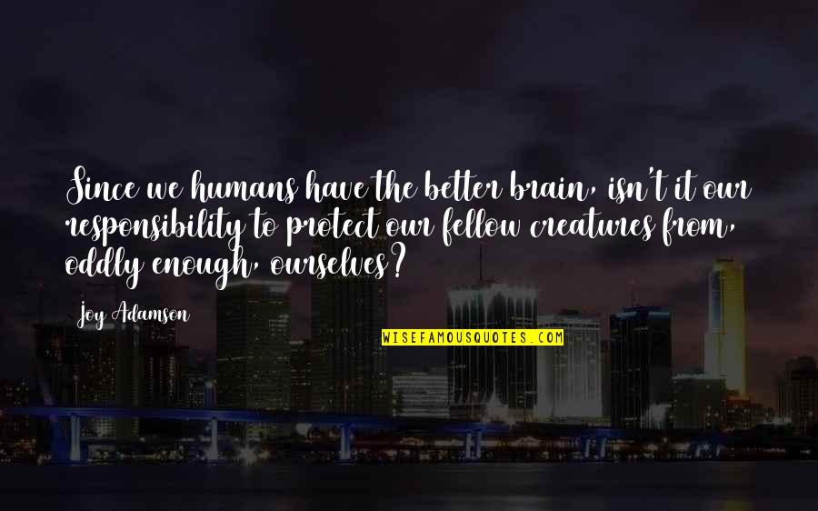 Vilsack Endorses Quotes By Joy Adamson: Since we humans have the better brain, isn't Vilsack Endorses Quotes By Joy Adamson: Since we humans have the better brain, isn't