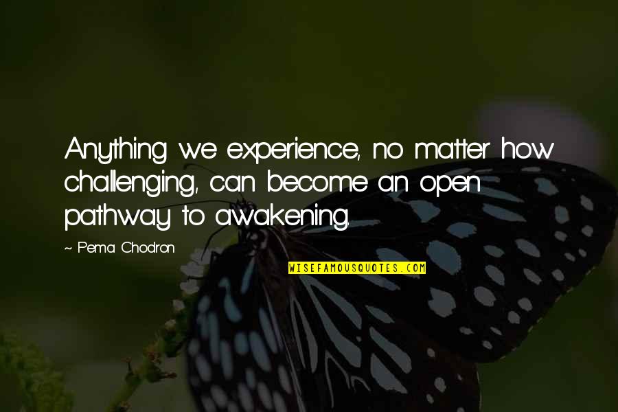 Vilsan Veteriner Quotes By Pema Chodron: Anything we experience, no matter how challenging, can