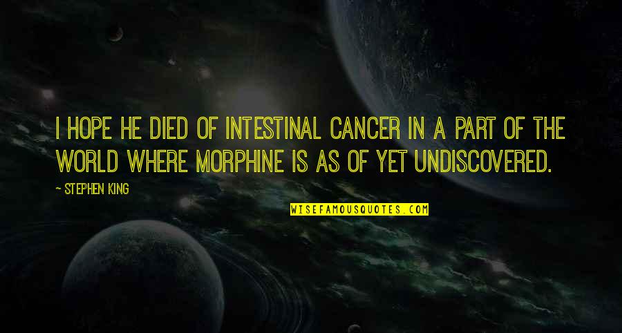 Vim Fuego Quotes By Stephen King: I hope he died of intestinal cancer in