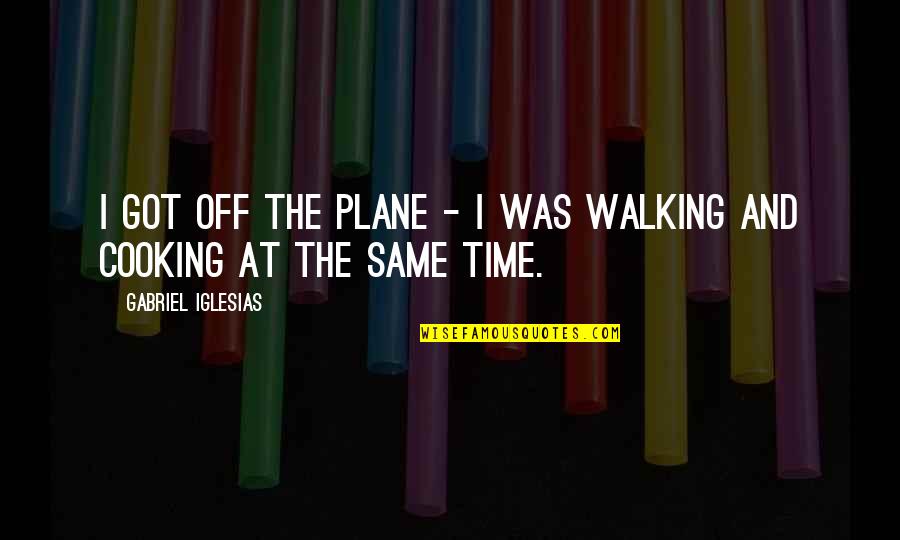 Vinanto Quotes By Gabriel Iglesias: I got off the plane - I was