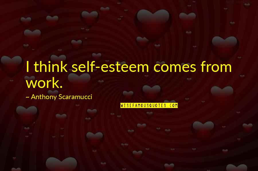 Vinayaka Chavithi Images With Quotes By Anthony Scaramucci: I think self-esteem comes from work.