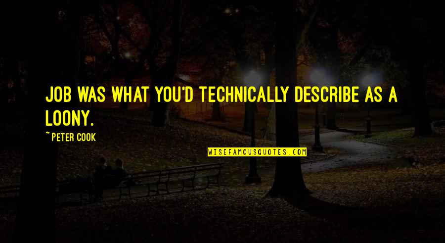 Vince Dresses Quotes By Peter Cook: Job was what you'd technically describe as a