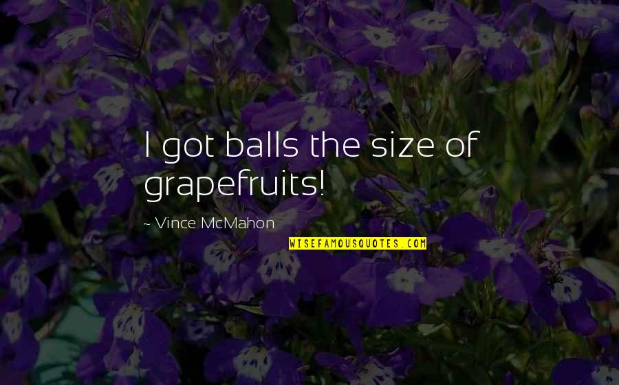 Vince Mcmahon Quotes By Vince McMahon: I got balls the size of grapefruits!