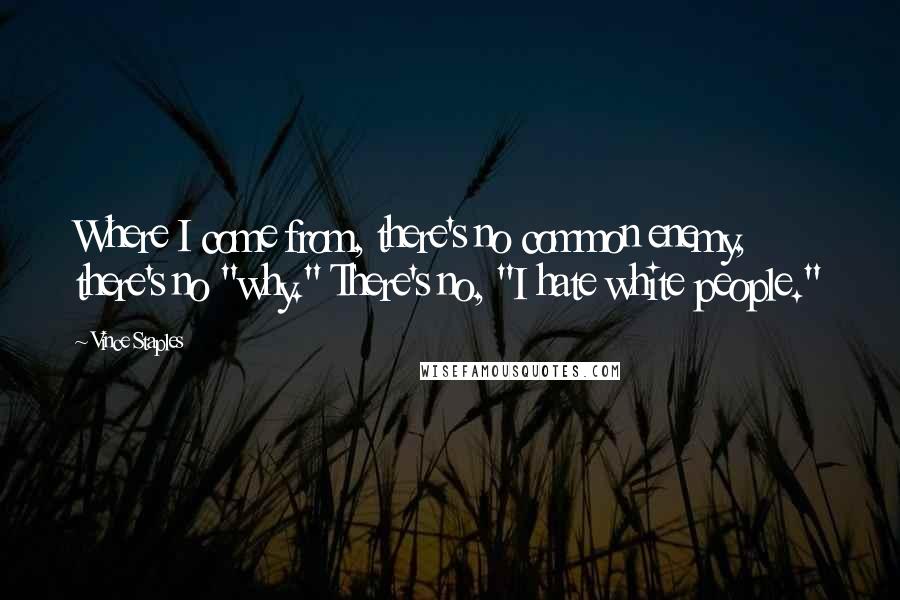 Vince Staples quotes: Where I come from, there's no common enemy, there's no "why." There's no, "I hate white people."