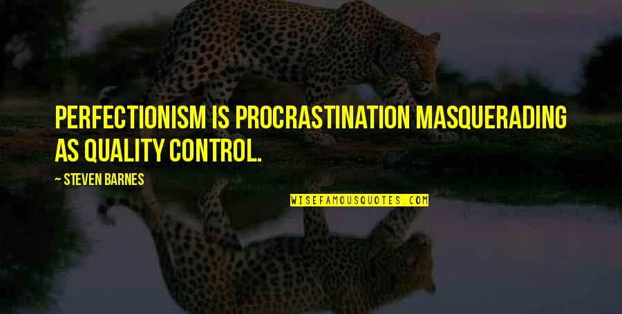 Vincent Corleone Quotes By Steven Barnes: Perfectionism is procrastination masquerading as quality control.