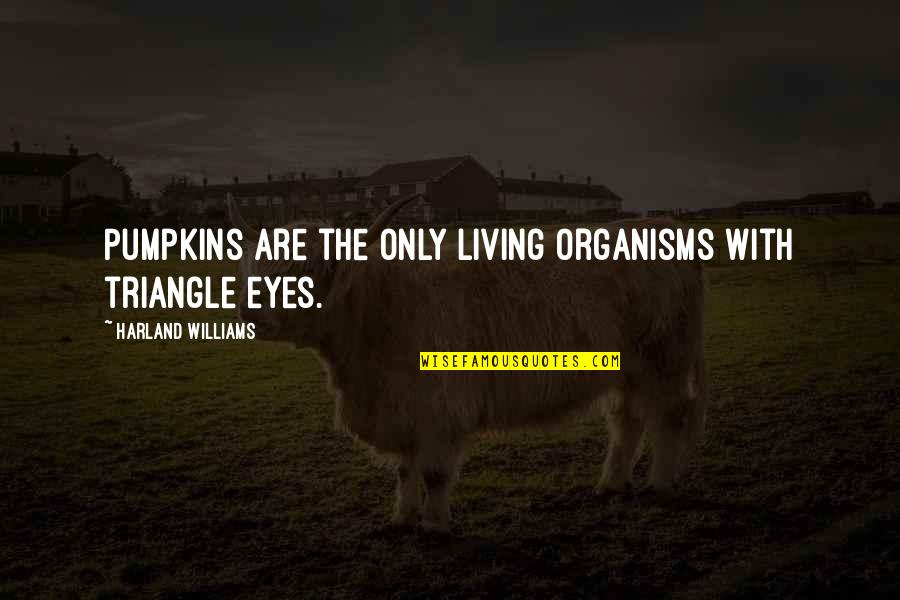 Vincent Kennedy Mcmahon Quotes By Harland Williams: Pumpkins are the only living organisms with triangle Vincent Kennedy Mcmahon Quotes By Harland Williams: Pumpkins are the only living organisms with triangle
