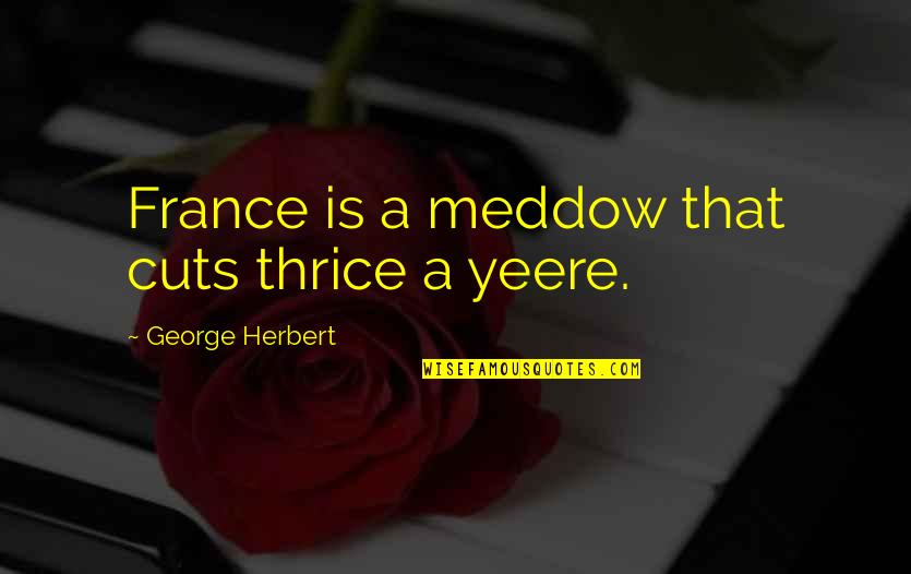Vincentius Apparel Quotes By George Herbert: France is a meddow that cuts thrice a Vincentius Apparel Quotes By George Herbert: France is a meddow that cuts thrice a