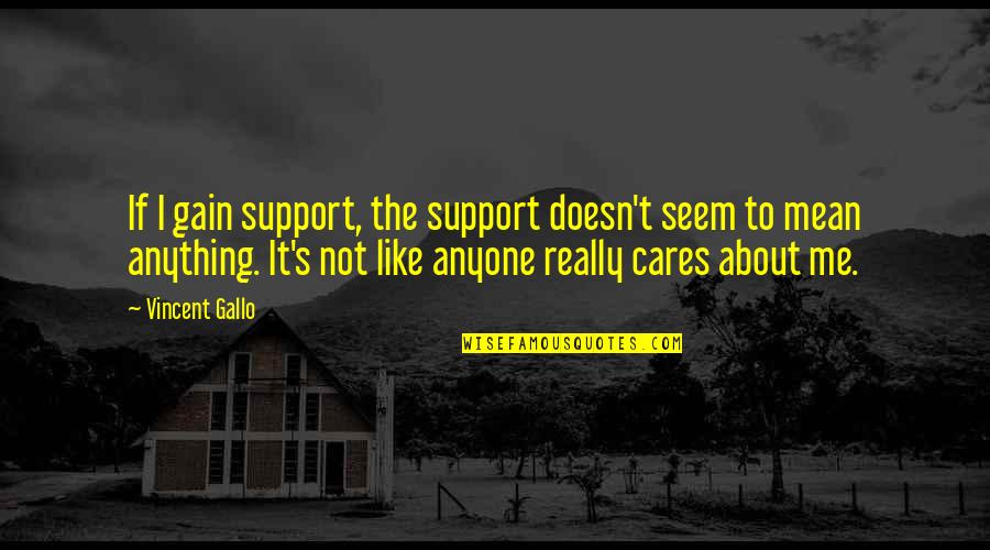 Vincent's Quotes By Vincent Gallo: If I gain support, the support doesn't seem