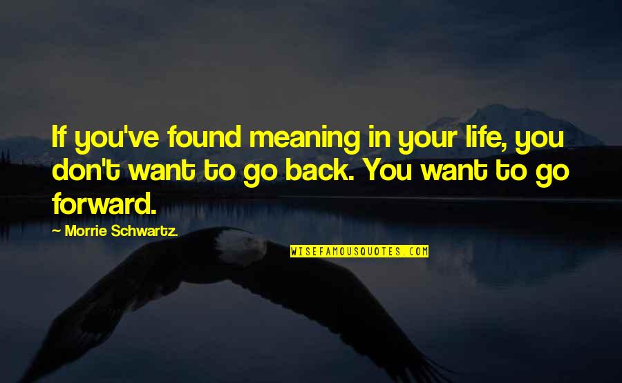 Vincitori Pizza Quotes By Morrie Schwartz.: If you've found meaning in your life, you Vincitori Pizza Quotes By Morrie Schwartz.: If you've found meaning in your life, you