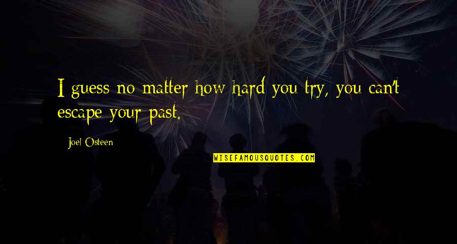 Vindouro Cattery Quotes By Joel Osteen: I guess no matter how hard you try,