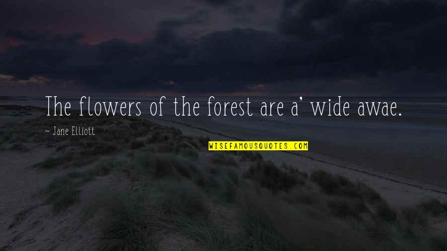 Vinduer Norge Quotes By Jane Elliott: The flowers of the forest are a' wide