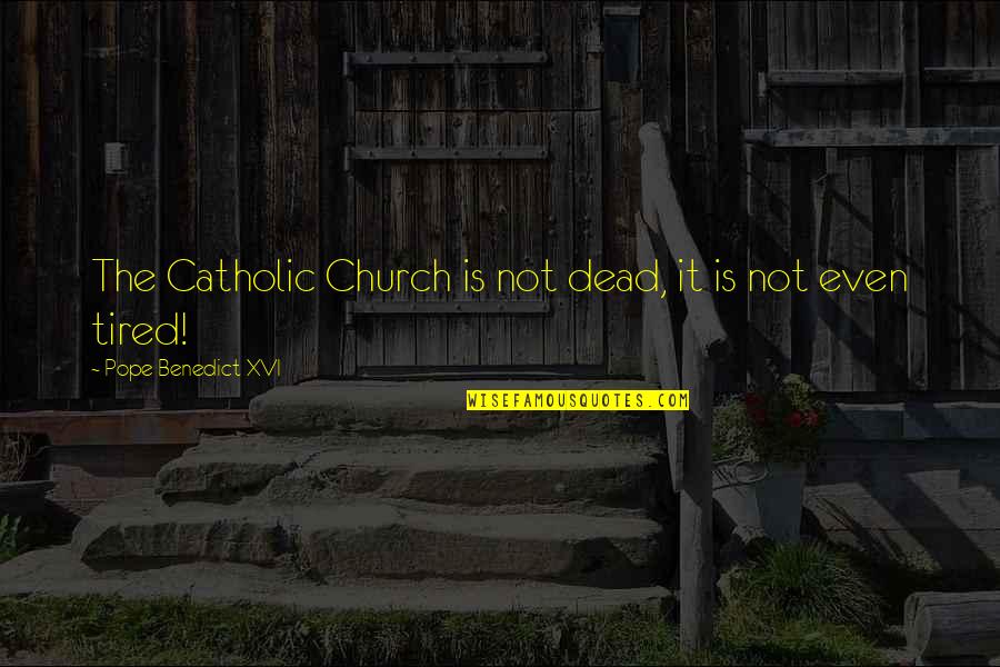 Vine Trends Quotes By Pope Benedict XVI: The Catholic Church is not dead, it is