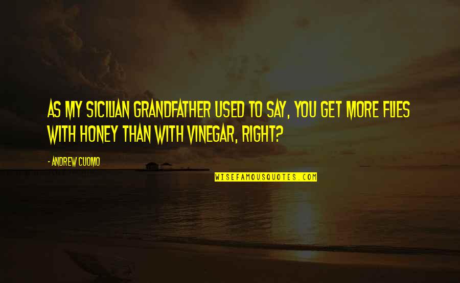 Vinegar Quotes By Andrew Cuomo: As my Sicilian grandfather used to say, you