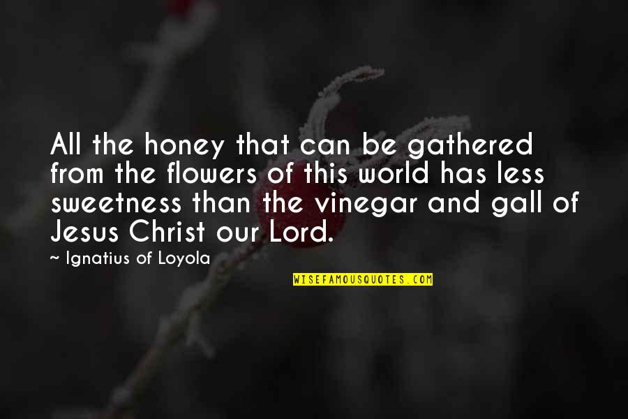 Vinegar Quotes By Ignatius Of Loyola: All the honey that can be gathered from