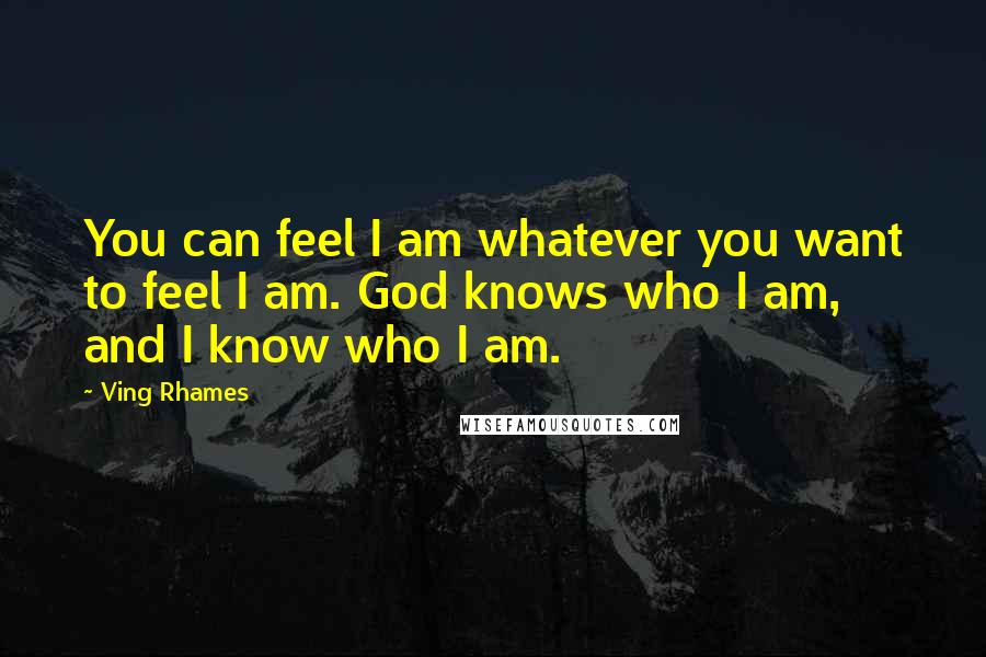Ving Rhames quotes: You can feel I am whatever you want to feel I am. God knows who I am, and I know who I am.