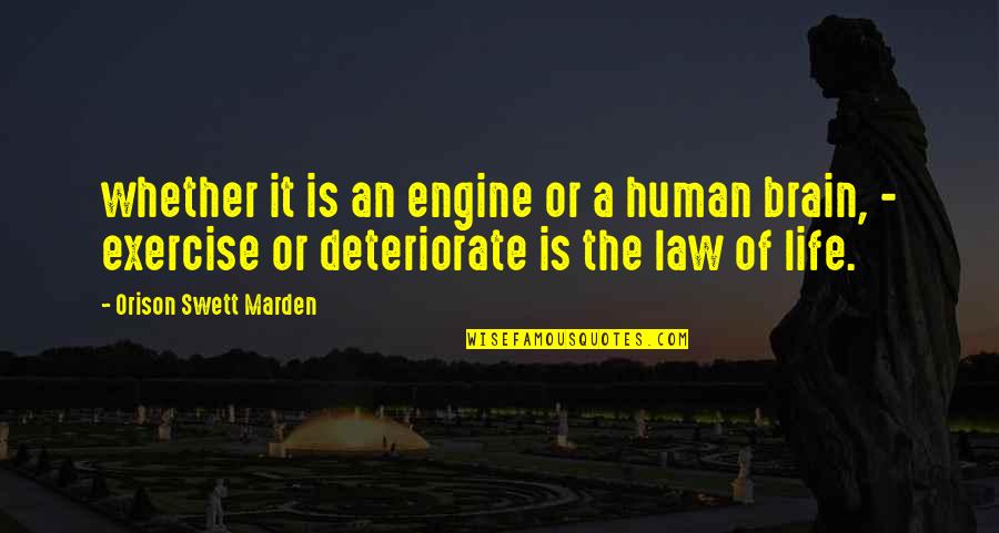 Vingers Toespraak Quotes By Orison Swett Marden: whether it is an engine or a human Vingers Toespraak Quotes By Orison Swett Marden: whether it is an engine or a human