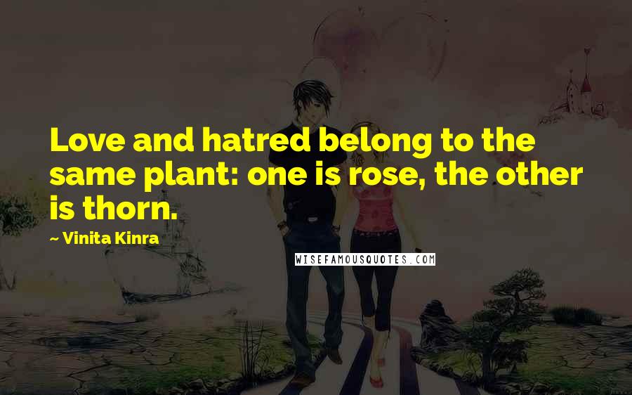 Vinita Kinra quotes: Love and hatred belong to the same plant: one is rose, the other is thorn.