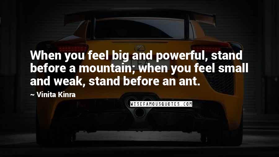 Vinita Kinra quotes: When you feel big and powerful, stand before a mountain; when you feel small and weak, stand before an ant. Vinita Kinra quotes: When you feel big and powerful, stand before a mountain; when you feel small and weak, stand before an ant.
