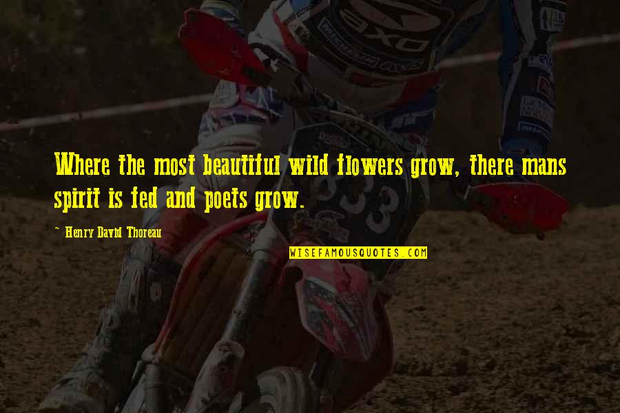 Vinokourov Twin Quotes By Henry David Thoreau: Where the most beautiful wild flowers grow, there Vinokourov Twin Quotes By Henry David Thoreau: Where the most beautiful wild flowers grow, there
