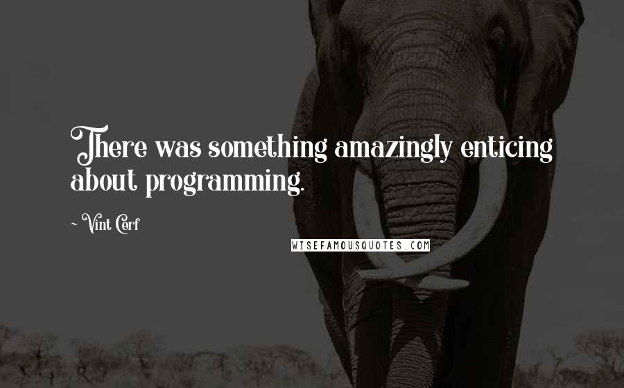 Vint Cerf quotes: There was something amazingly enticing about programming.