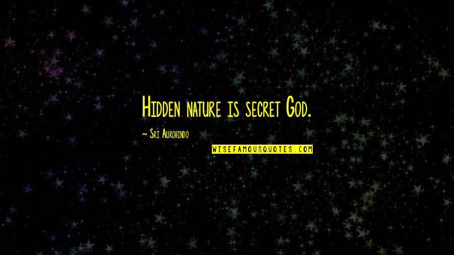 Vinteuil Sonata Quotes By Sri Aurobindo: Hidden nature is secret God.