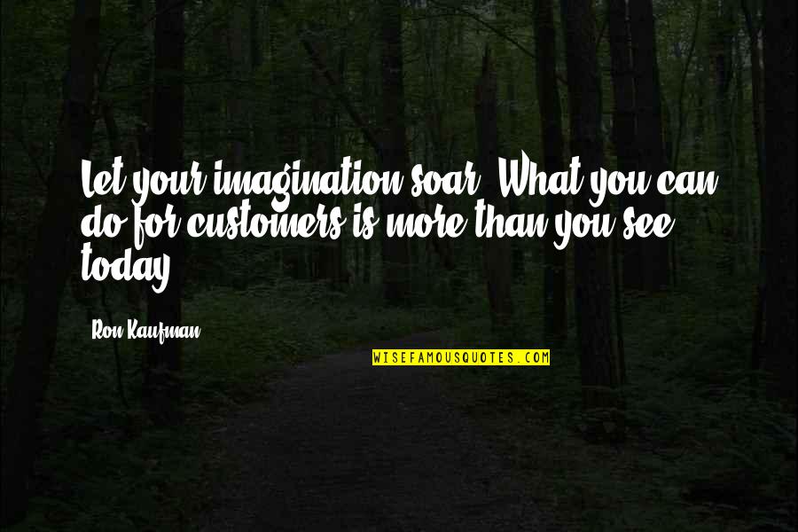 Vintila Corbul Quotes By Ron Kaufman: Let your imagination soar. What you can do