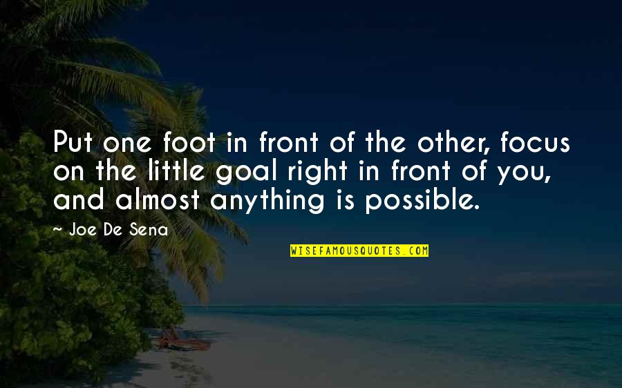 Vintila Marius Quotes By Joe De Sena: Put one foot in front of the other, Vintila Marius Quotes By Joe De Sena: Put one foot in front of the other,