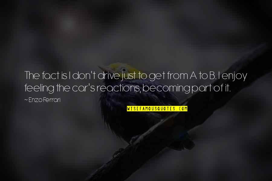 Vintners Reserve Quotes By Enzo Ferrari: The fact is I don't drive just to