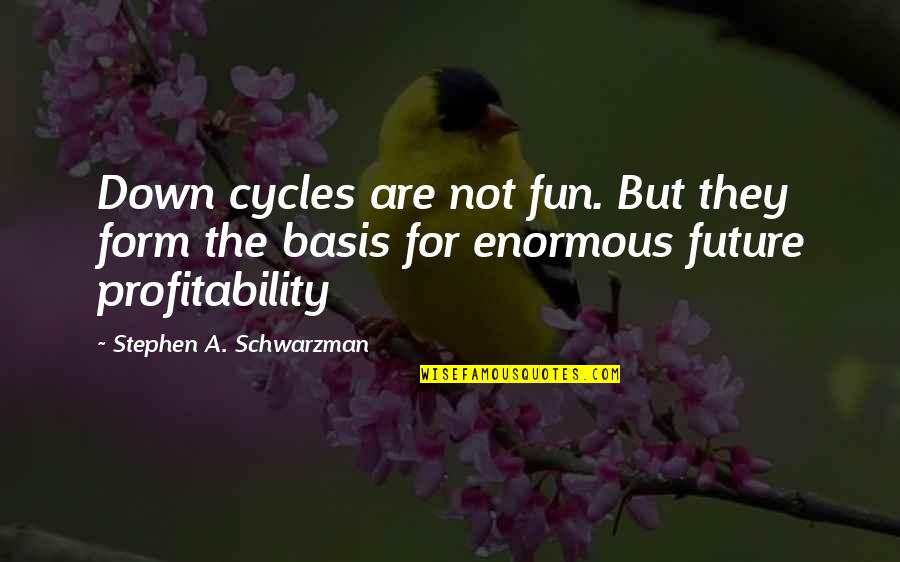 Vinyet Camera Quotes By Stephen A. Schwarzman: Down cycles are not fun. But they form