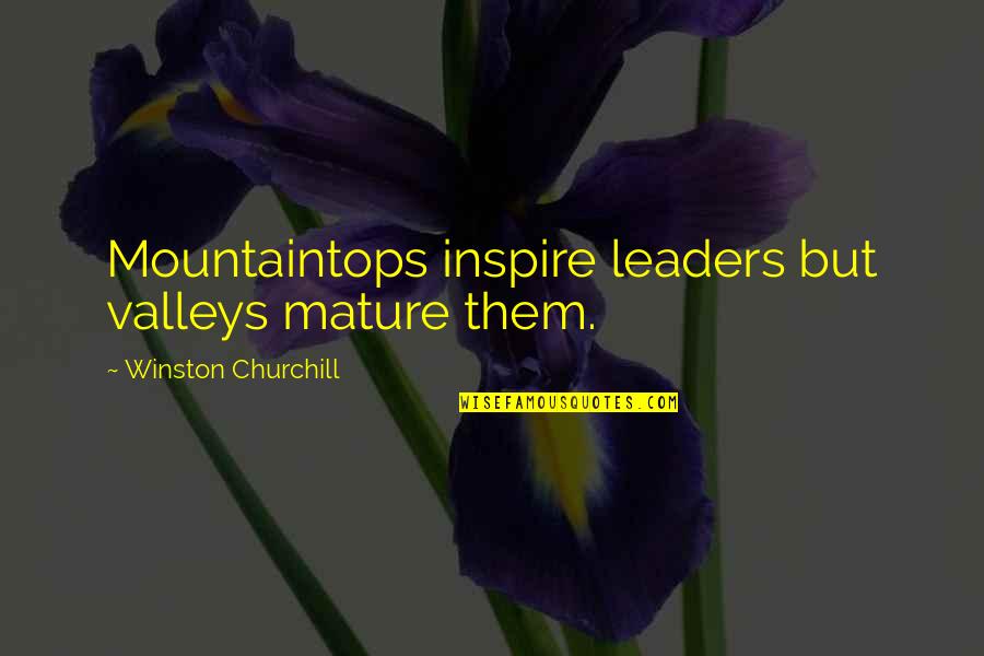 Vinyet Farms Quotes By Winston Churchill: Mountaintops inspire leaders but valleys mature them. Vinyet Farms Quotes By Winston Churchill: Mountaintops inspire leaders but valleys mature them.