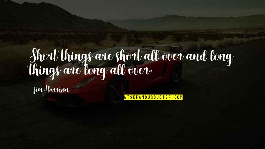 Vinyl Wall Decal Quotes By Jim Harrison: Short things are short all over and long